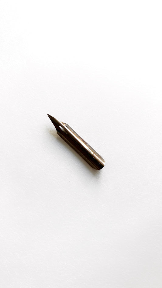 Hunt 22
