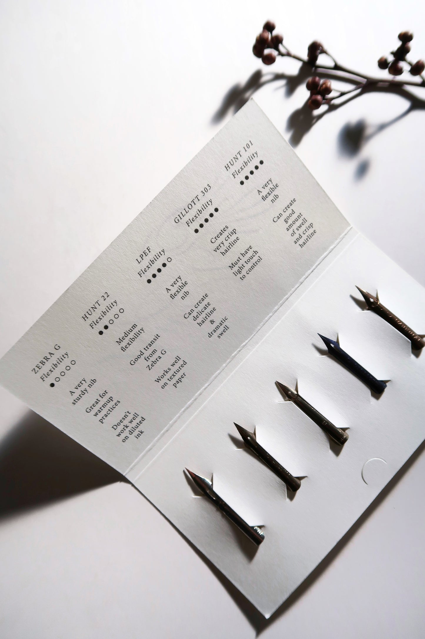 Calligraphy Nib Sampler